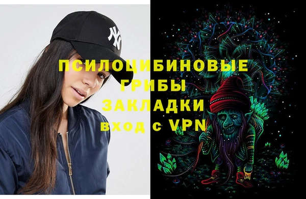 прущие грибы Бугульма