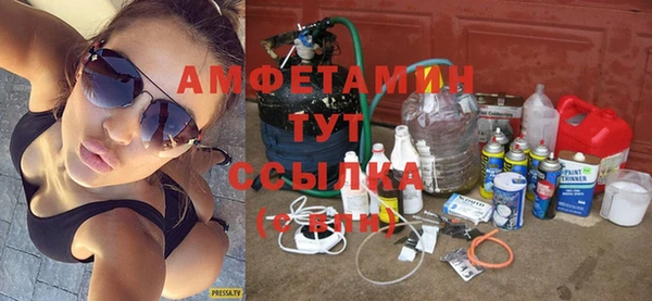 прущие грибы Волосово