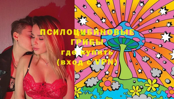 прущие грибы Бугульма