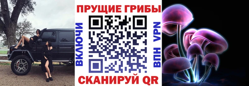Галлюциногенные грибы MAGIC MUSHROOMS  Заволжье 