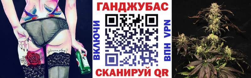 Конопля сатива Заволжье
